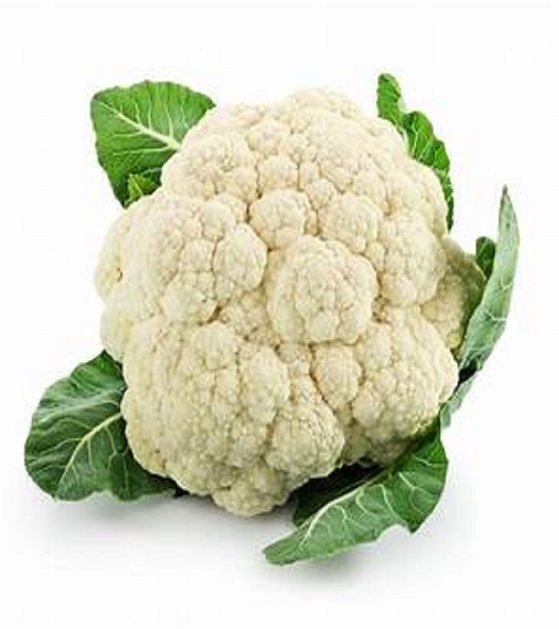 காலிபிளவர் / Cauliflower